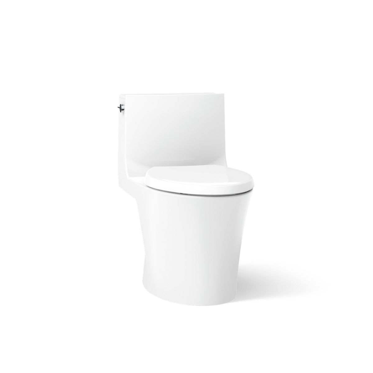 Veil One-piece elongated toilet with skirted trapway, dual-flush